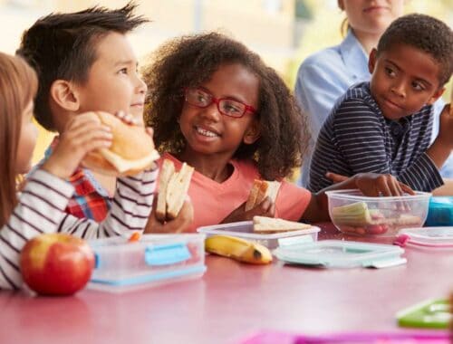 Kids school lunch eating healthy sandwiches and fruit at desk during lunch break healthy meal options for children health and wellness education for kids.