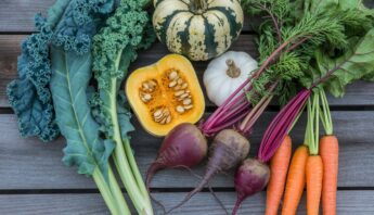 Nutritious Fall Season Vegetables You Should Eat This Season 11 Nutritious Fall Season Vegetables You Should Eat This Season