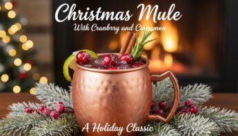 Christmas Mule With Cranberry and Cinnamon A Holiday Classic 11 cranberry cinnamon holiday classic mule