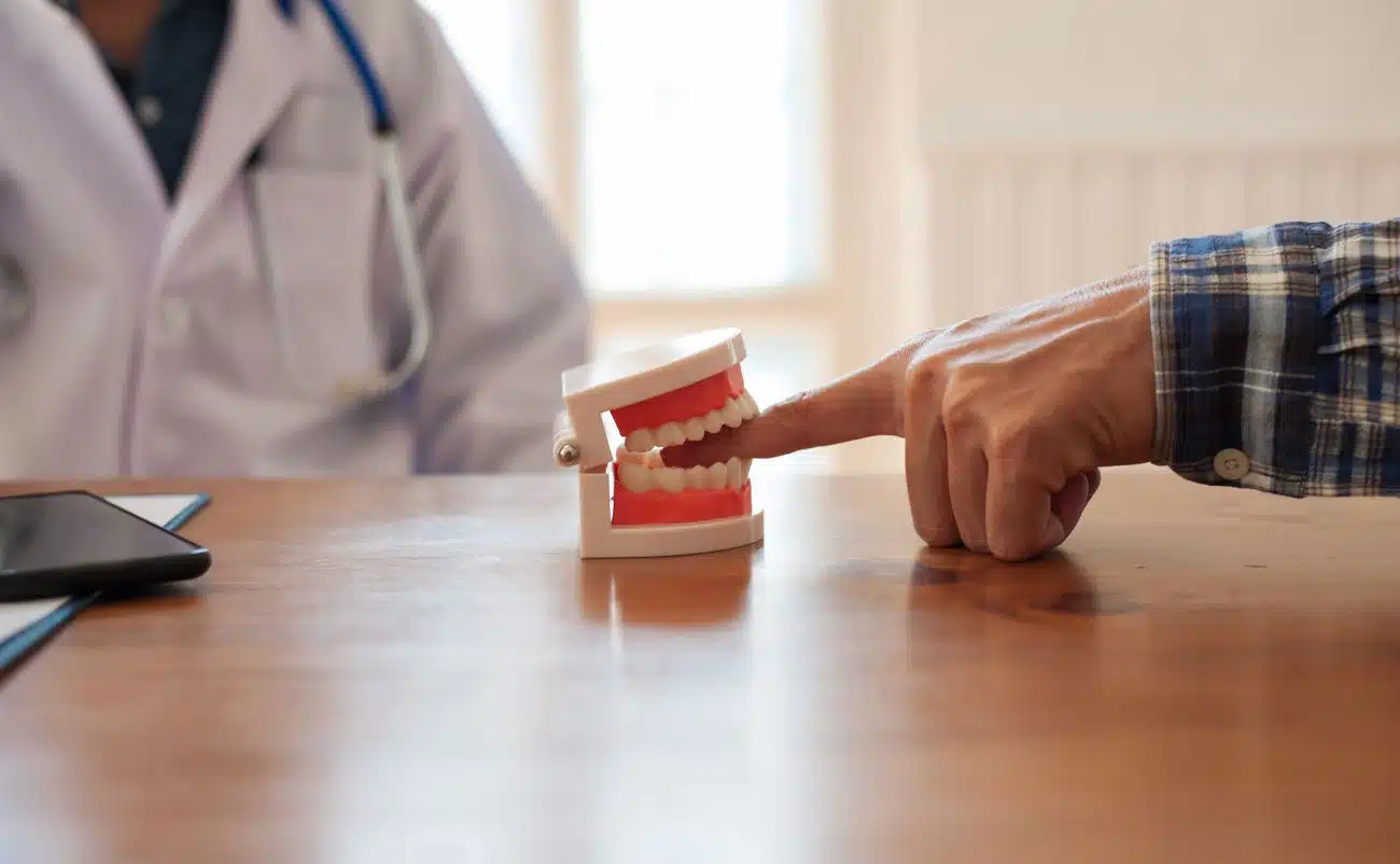 Toothbrush and dental model representing oral health advice from medical professionals.