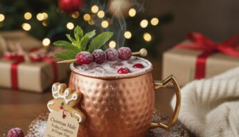 festive vodka cranberry ginger cocktail